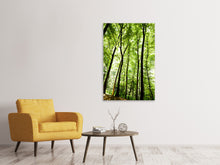 Laden Sie das Bild in den Galerie-Viewer, Leinwandbild Wald