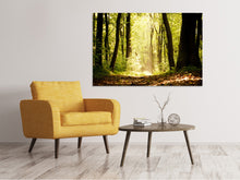 Laden Sie das Bild in den Galerie-Viewer, Leinwandbild Sonnenaufgang im Wald