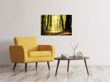 Laden Sie das Bild in den Galerie-Viewer, Leinwandbild Sonnenaufgang im Wald