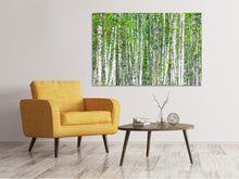 Laden Sie das Bild in den Galerie-Viewer, Leinwandbild Der Birkenwald