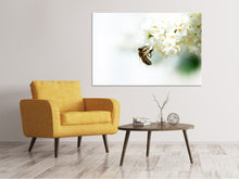Laden Sie das Bild in den Galerie-Viewer, Leinwandbild Die Hummel und die Blüte