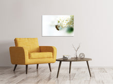 Laden Sie das Bild in den Galerie-Viewer, Leinwandbild Die Hummel und die Blüte