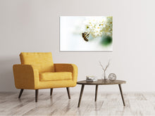 Laden Sie das Bild in den Galerie-Viewer, Leinwandbild Die Hummel und die Blüte