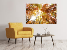 Laden Sie das Bild in den Galerie-Viewer, Leinwandbild Herbstbäume