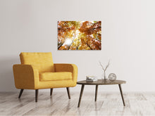 Laden Sie das Bild in den Galerie-Viewer, Leinwandbild Herbstbäume