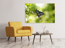 Laden Sie das Bild in den Galerie-Viewer, Leinwandbild Papilio Schmetterling XXL