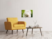 Laden Sie das Bild in den Galerie-Viewer, Leinwandbild Pusteblume Löwenzahn