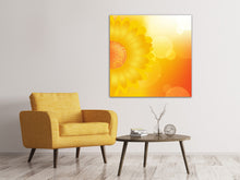 Laden Sie das Bild in den Galerie-Viewer, Leinwandbild Sunflower Power