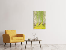 Laden Sie das Bild in den Galerie-Viewer, Leinwandbild Der Birkenwald im Spätsommer
