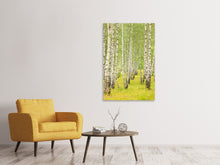 Laden Sie das Bild in den Galerie-Viewer, Leinwandbild Der Birkenwald im Spätsommer