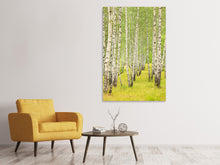 Laden Sie das Bild in den Galerie-Viewer, Leinwandbild Der Birkenwald im Spätsommer
