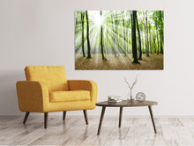 Laden Sie das Bild in den Galerie-Viewer, Leinwandbild Magisches Licht in den Bäumen