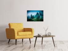 Laden Sie das Bild in den Galerie-Viewer, Leinwandbild Geheimnisvoller Wald