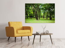 Laden Sie das Bild in den Galerie-Viewer, Leinwandbild Kirschbaum-Garten