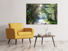 Laden Sie das Bild in den Galerie-Viewer, Leinwandbild Sonniger Waldweg