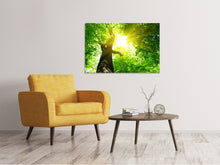 Laden Sie das Bild in den Galerie-Viewer, Leinwandbild Baum