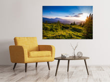 Laden Sie das Bild in den Galerie-Viewer, Leinwandbild Friedliche Landschaft
