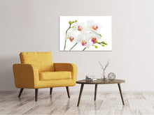 Laden Sie das Bild in den Galerie-Viewer, Leinwandbild Orchideenliebe