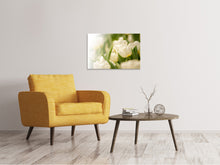 Laden Sie das Bild in den Galerie-Viewer, Leinwandbild Tulpenperspektive