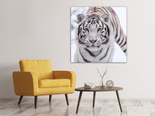 Laden Sie das Bild in den Galerie-Viewer, Leinwandbild Der Königstiger