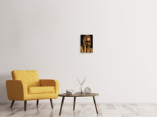 Laden Sie das Bild in den Galerie-Viewer, Leinwandbild Gold-Face