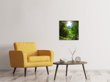 Laden Sie das Bild in den Galerie-Viewer, Leinwandbild Lichtung im Dschungel