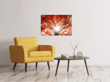 Laden Sie das Bild in den Galerie-Viewer, Leinwandbild Herbstlicht