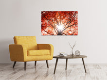 Laden Sie das Bild in den Galerie-Viewer, Leinwandbild Herbstlicht