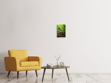 Laden Sie das Bild in den Galerie-Viewer, Leinwandbild Waldtreppe