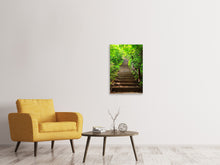 Laden Sie das Bild in den Galerie-Viewer, Leinwandbild Waldtreppe