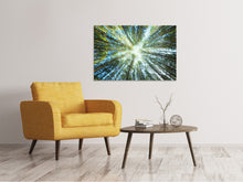 Laden Sie das Bild in den Galerie-Viewer, Leinwandbild Kiefernwald