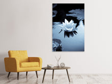 Laden Sie das Bild in den Galerie-Viewer, Leinwandbild Schwarzweissfotografie der Seerose