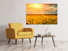 Laden Sie das Bild in den Galerie-Viewer, Leinwandbild Goldenes Licht für Sonnenblumen