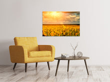 Laden Sie das Bild in den Galerie-Viewer, Leinwandbild Goldenes Licht für Sonnenblumen