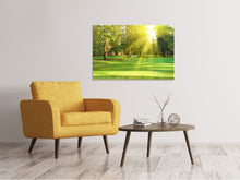 Laden Sie das Bild in den Galerie-Viewer, Leinwandbild Im Park