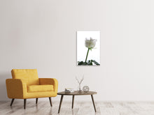 Laden Sie das Bild in den Galerie-Viewer, Leinwandbild Im Namen der Rose