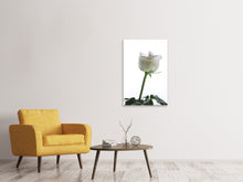 Laden Sie das Bild in den Galerie-Viewer, Leinwandbild Im Namen der Rose