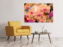 Laden Sie das Bild in den Galerie-Viewer, Leinwandbild Exotische Orchideen