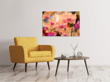 Laden Sie das Bild in den Galerie-Viewer, Leinwandbild Exotische Orchideen