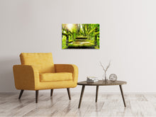 Laden Sie das Bild in den Galerie-Viewer, Leinwandbild Moos