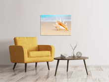 Laden Sie das Bild in den Galerie-Viewer, Leinwandbild Die Muschel am Strand