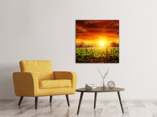 Laden Sie das Bild in den Galerie-Viewer, Leinwandbild Der Weinberg bei Sonnenuntergang
