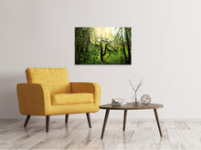 Laden Sie das Bild in den Galerie-Viewer, Leinwandbild Verträumter Wald