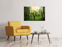 Laden Sie das Bild in den Galerie-Viewer, Leinwandbild Verträumter Wald