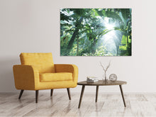 Laden Sie das Bild in den Galerie-Viewer, Leinwandbild Dschungelstar