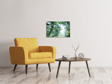 Laden Sie das Bild in den Galerie-Viewer, Leinwandbild Dschungelstar