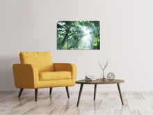 Laden Sie das Bild in den Galerie-Viewer, Leinwandbild Dschungelstar