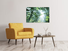 Laden Sie das Bild in den Galerie-Viewer, Leinwandbild Dschungelstar