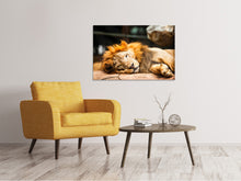 Laden Sie das Bild in den Galerie-Viewer, Leinwandbild Entspannter Löwe