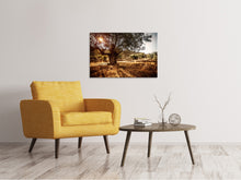 Laden Sie das Bild in den Galerie-Viewer, Leinwandbild Olivenhain